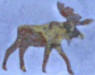 Moose Apparel, Moose Clocks, Moose Decor